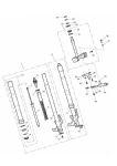 Oil Seal